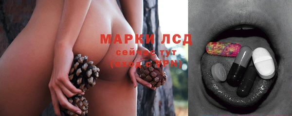 сатива Алзамай