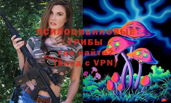 сатива Алзамай