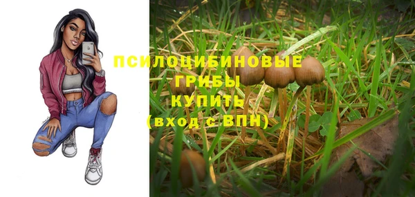 сатива Алзамай