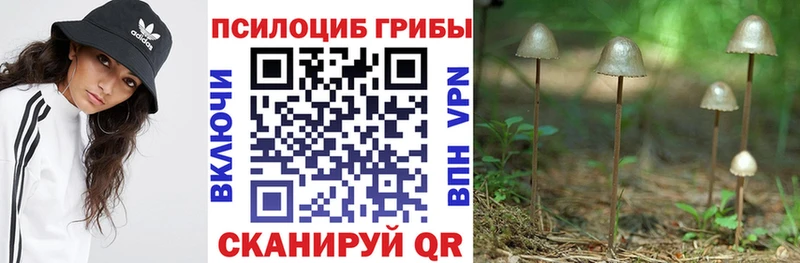 нарко площадка состав  kraken зеркало  Бирюч  Галлюциногенные грибы прущие грибы 
